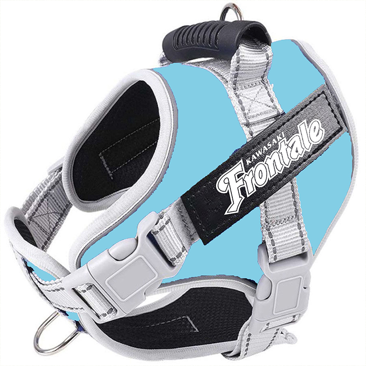 Pet Plus×Frontale ハーネス&リードセット