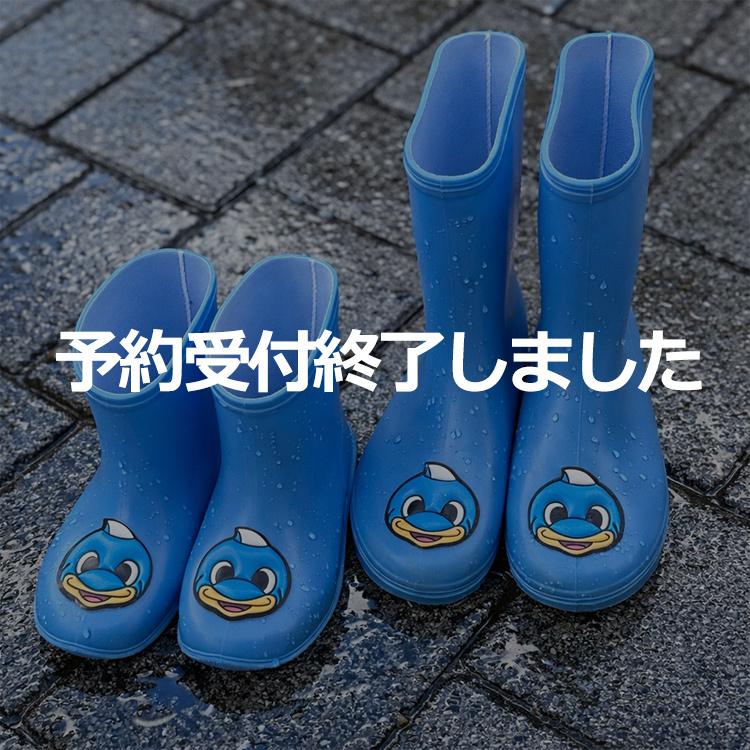 ニュースの画像