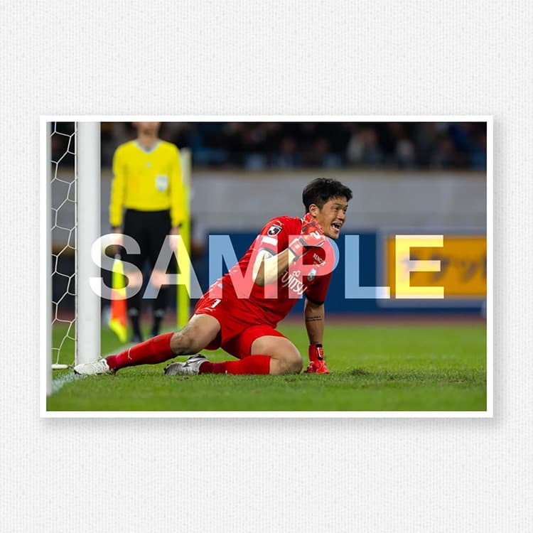 天皇杯決勝vs.柏レイソル@国立競技場のサンプル画像