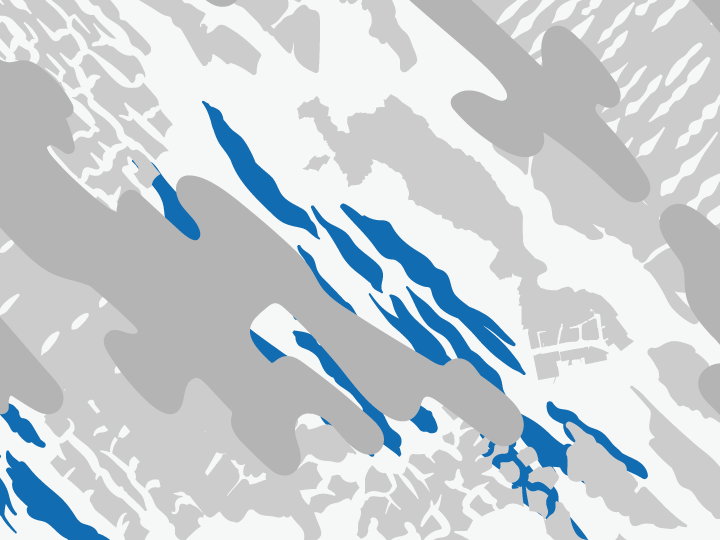 川崎区:イチョウ