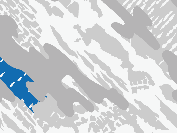 中原区:モモ