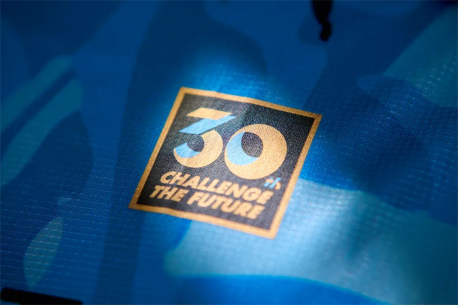 30th LOGO